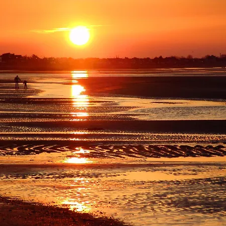 La Clairiere Maison Spacieuse Rénovée Joliment Décorée Confort 12 P 2 Sdb 2 Wc Grand Jardin Clos, Belle Terrasse Aménagée, Parking Privatif, Ping Pong Baby Foot Proche Omaha Et Bayeux, Chiens Bienvenus *