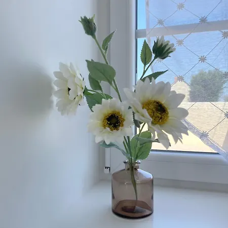 Hébergement de vacances La Clairiere Maison Spacieuse Rénovée Joliment Décorée Confort 12 P 2 Sdb 2 Wc Grand Jardin Clos, Belle Terrasse Aménagée, Parking Privatif, Ping Pong Baby Foot Proche Omaha Et Bayeux, Chiens Bienvenus *