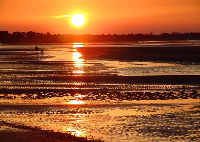 La Clairiere Maison Spacieuse Renovee Joliment Decoree Confort 12 P 2 Sdb 2 Wc Grand Jardin Clos, Belle Terrasse Amenagee, Parking Privatif, Ping Pong Baby Foot Proche Omaha Et Bayeux, Chiens Bienvenus *